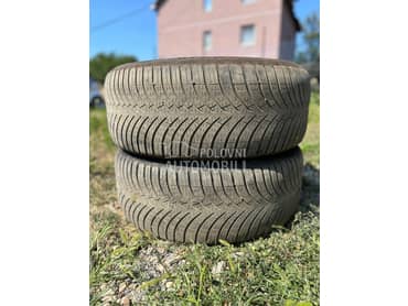 Goodyear 245/50 R19 Zimska