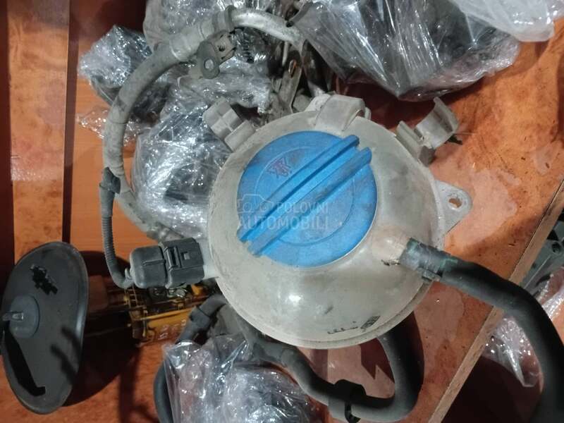 boca antifriza