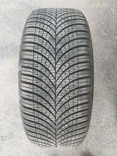 Goodyear 245/45 R19 Sve sezone