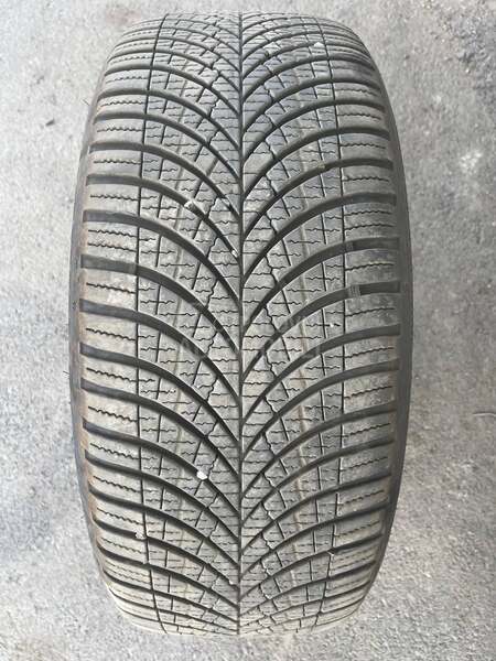 Goodyear 245/45 R19 Sve sezone