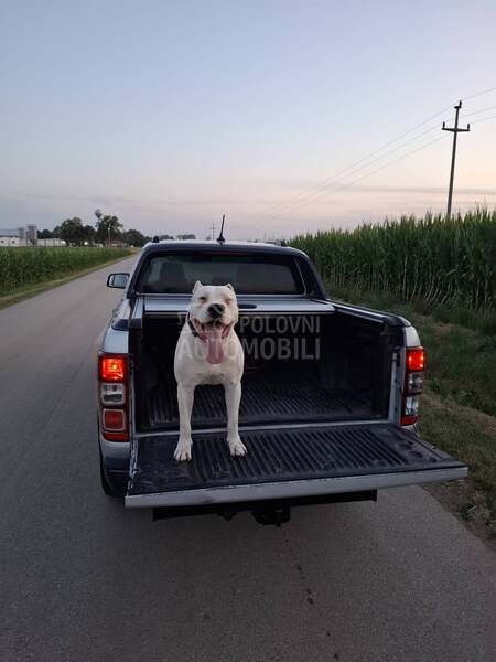 Ford Ranger Wildtrack Biturbo