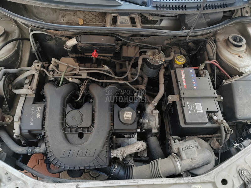 Fiat Punto 