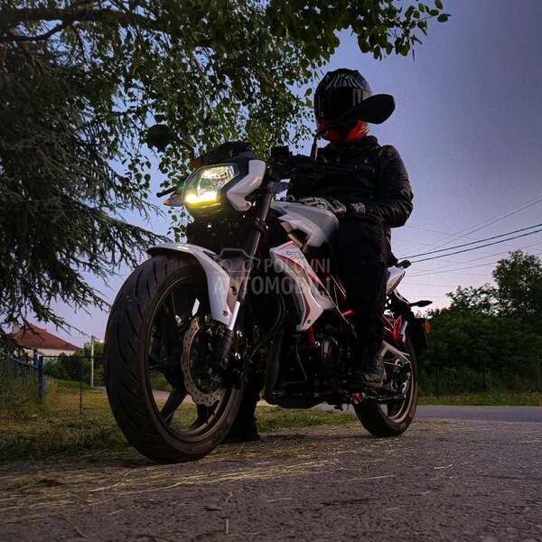 Benelli bn125 bn 125