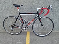 Ostalo BATAVUS d light 