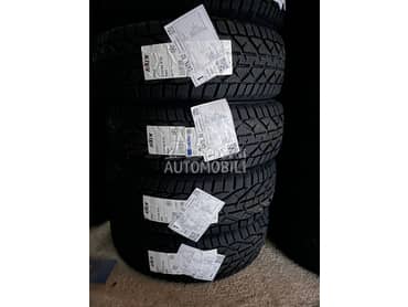 Riken 215/60 R16 Zimska