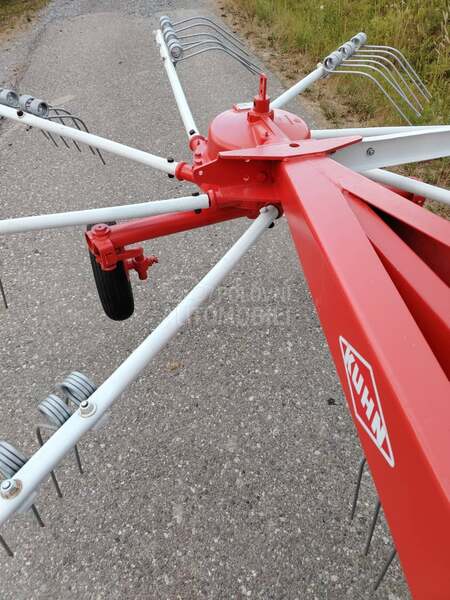 Kuhn Balenina