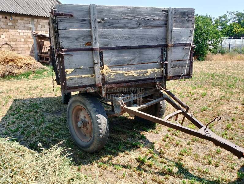 Zmaj Crvena Zastava