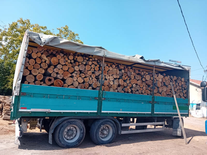 Scania 124l