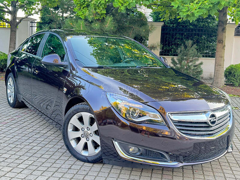 Opel Insignia OPC LINE/LED/BRAON