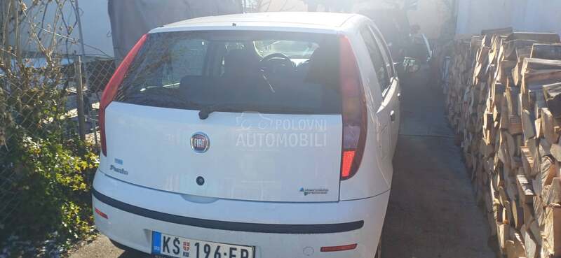 Fiat Punto 