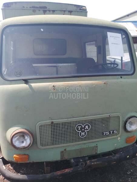 TAM 75 t35