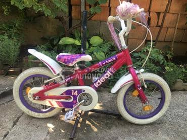 Polar Ideal 14 Ljubicasti