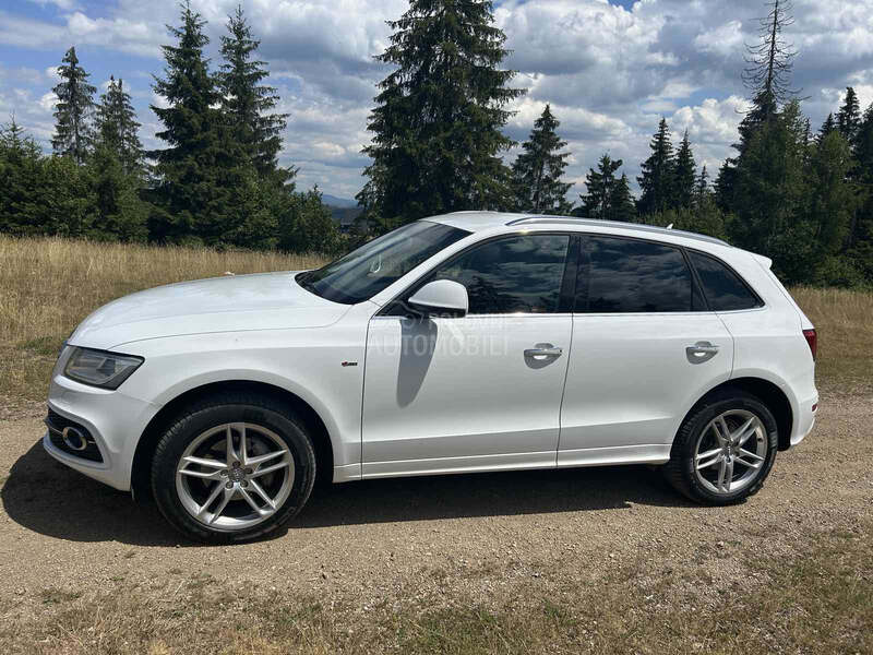 Audi Q5 190 Ultra aut
