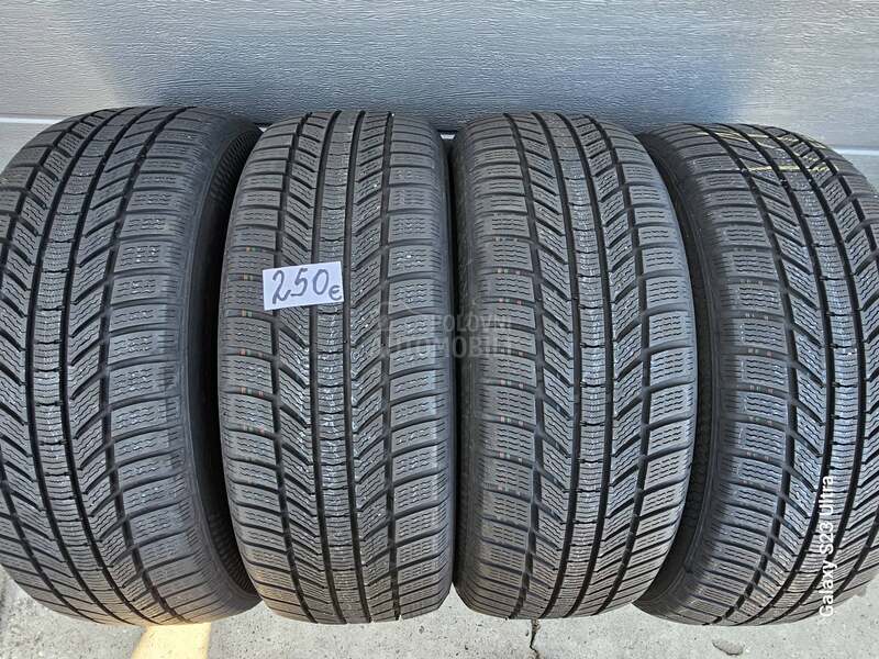 Continental 225/55 R17 Zimska