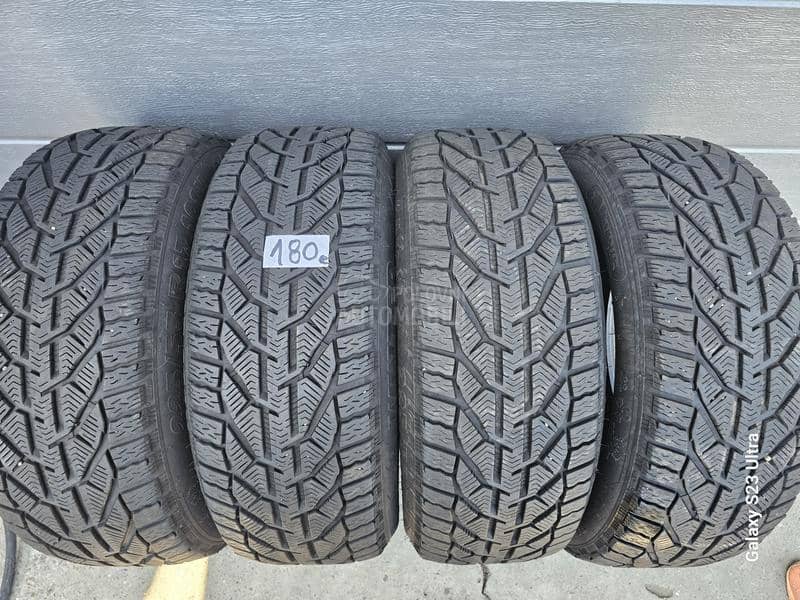 Taurus 225/55 R17 Zimska