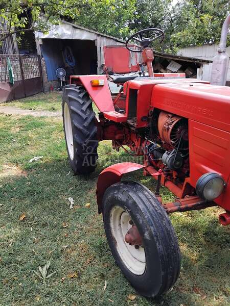 Vladimirac T 25