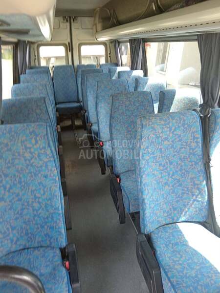 Irisibus DAILY TOURYS