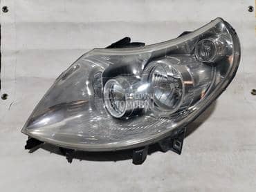 190. Far levi Boxer, Jumper