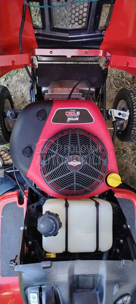 MTZ mtd