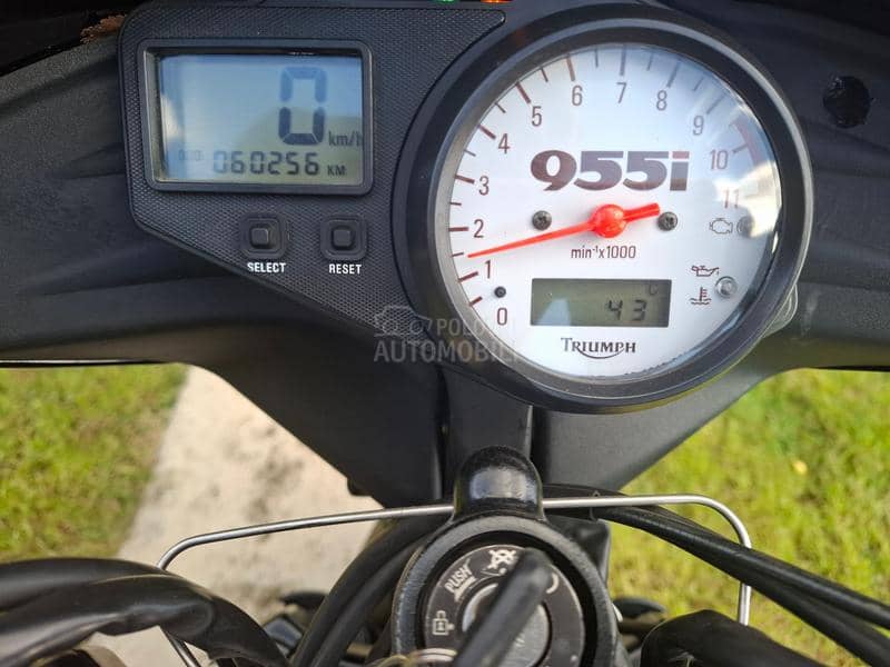 Triumph Speed Triple 955i