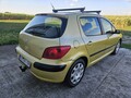 Peugeot 307 1.6 16V