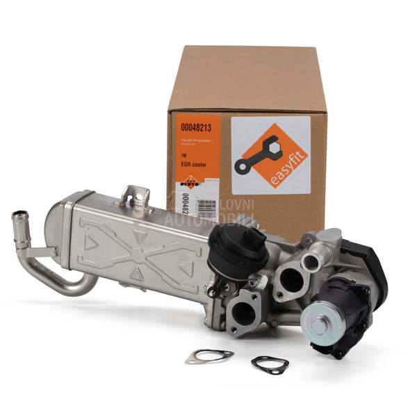 VW Golf PLUS EGR Ventil TDI