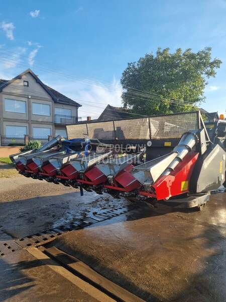 Dominoni Dominoni  rock 6R