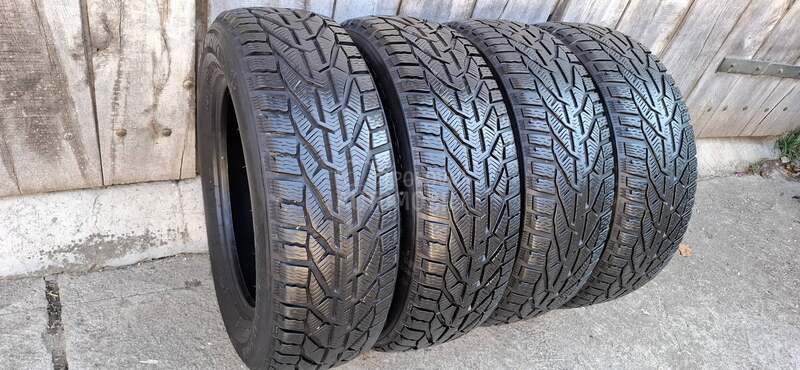 Riken 225/65 R17 Zimska