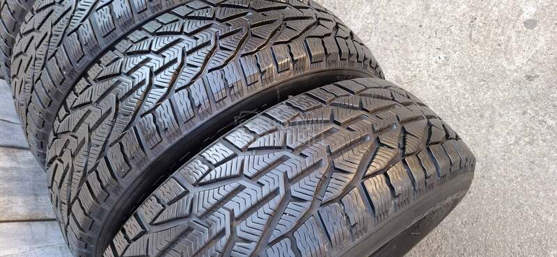 Riken 225/65 R17 Zimska