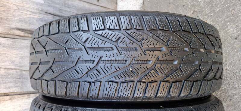 Riken 225/65 R17 Zimska