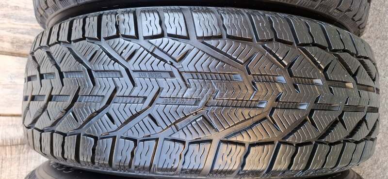 Riken 225/65 R17 Zimska