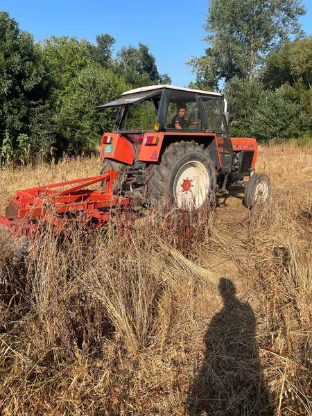Zetor 8011 i tanjiraca