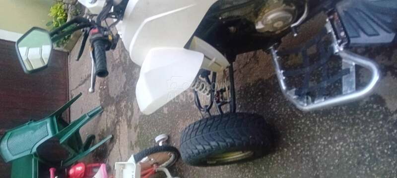 Dinli tasher