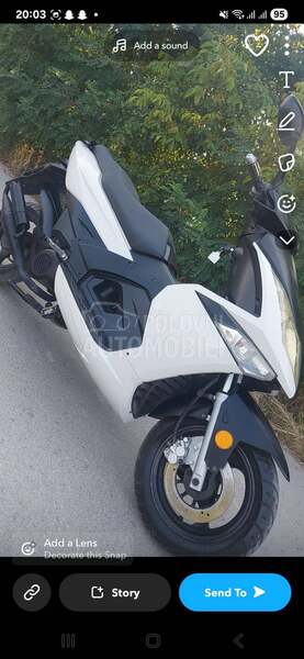 Sprint maxx