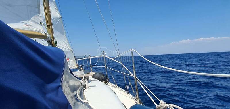 Neptunus Neptun 22