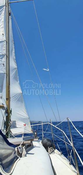 Neptunus Neptun 22
