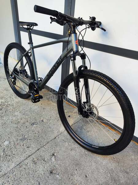 Carver Strict 110 29er