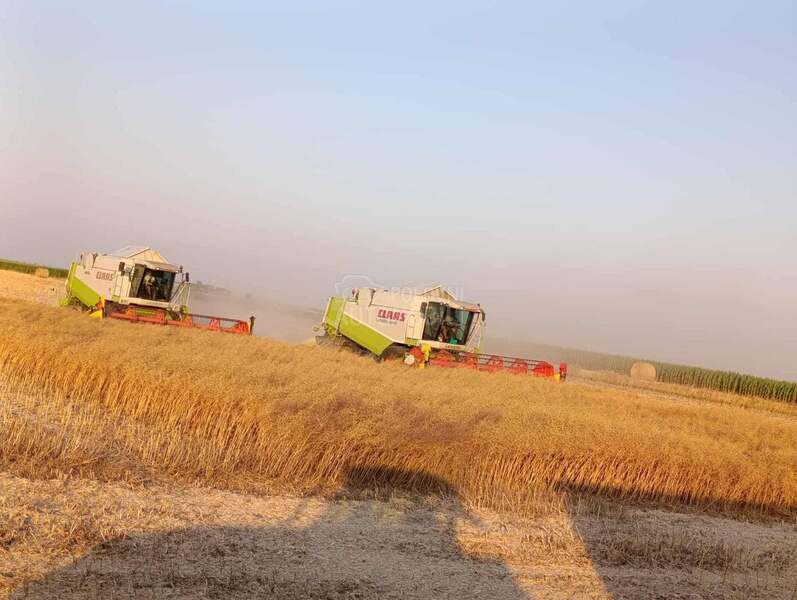 Claas Lexioni