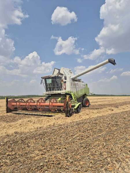 Claas Lexioni