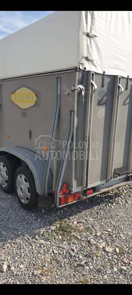 Bockmann 2000s