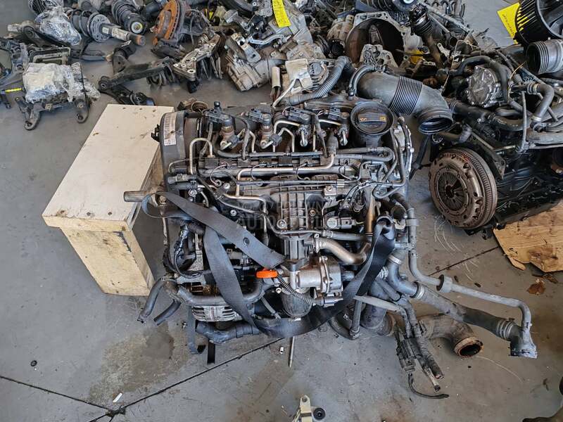 Motor