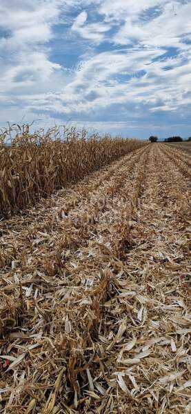 Case Geringhoff Rotadisc 5 70