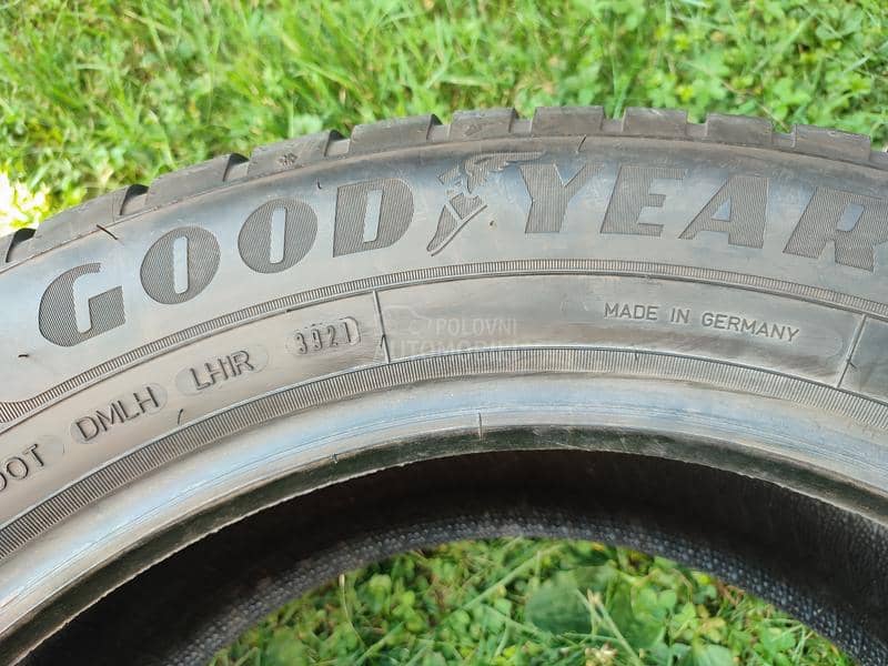 Goodyear 255/50 R19 Zimska