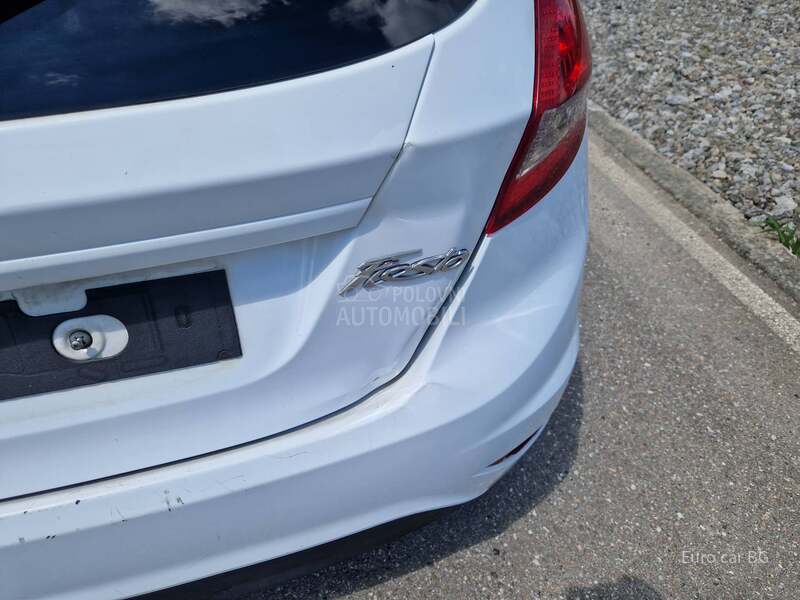 Ford Fiesta N1