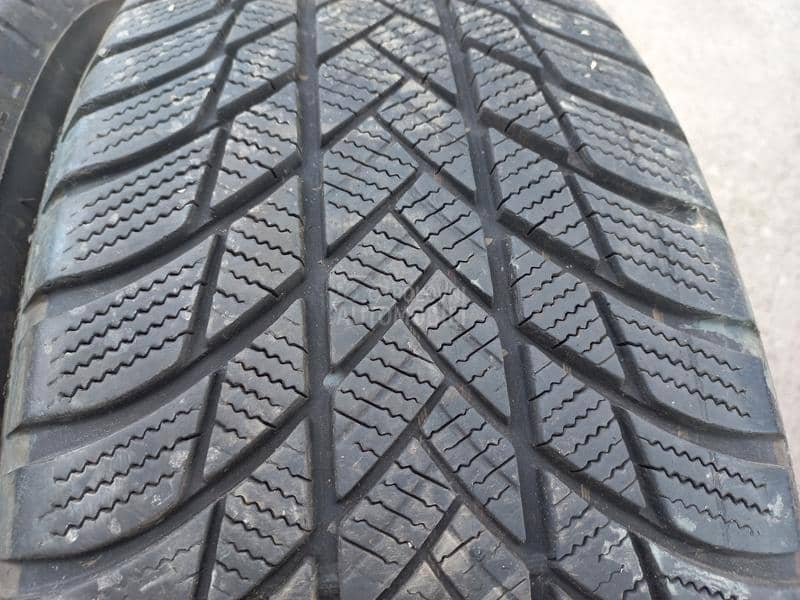 Bridgestone 225/60 R17 Zimska