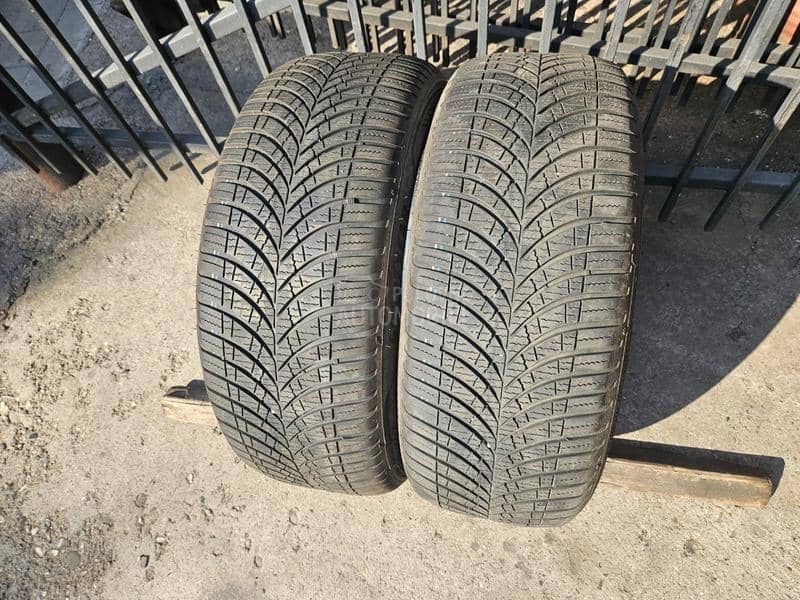 Goodyear 215/50 R18 Sve sezone