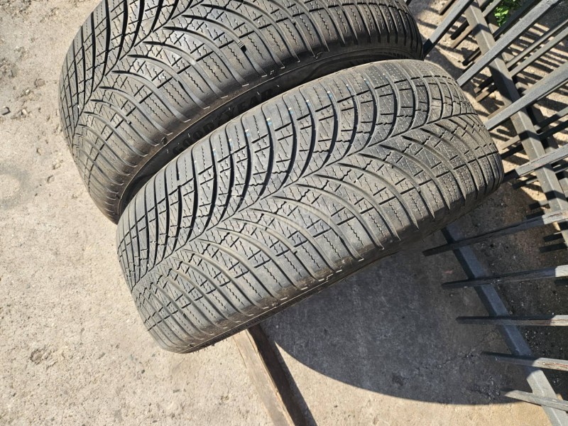Goodyear 215/50 R18 Sve sezone