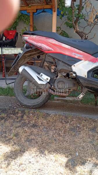 Sprint Maxx