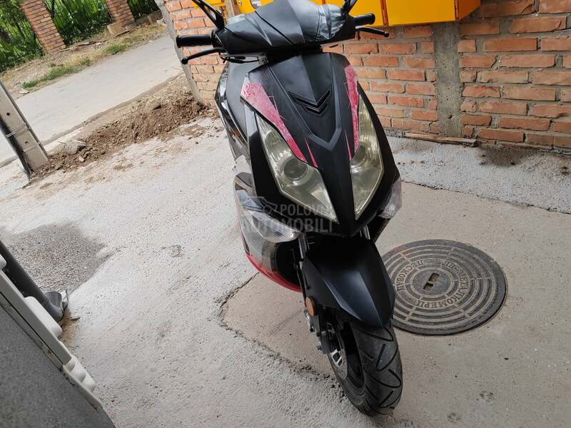 Sprint Maxx 49