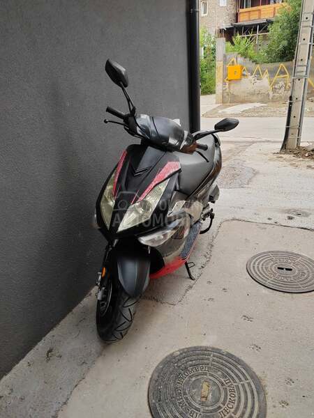 Sprint Maxx 49